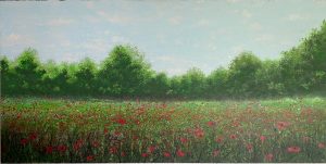 Poppy Meadow